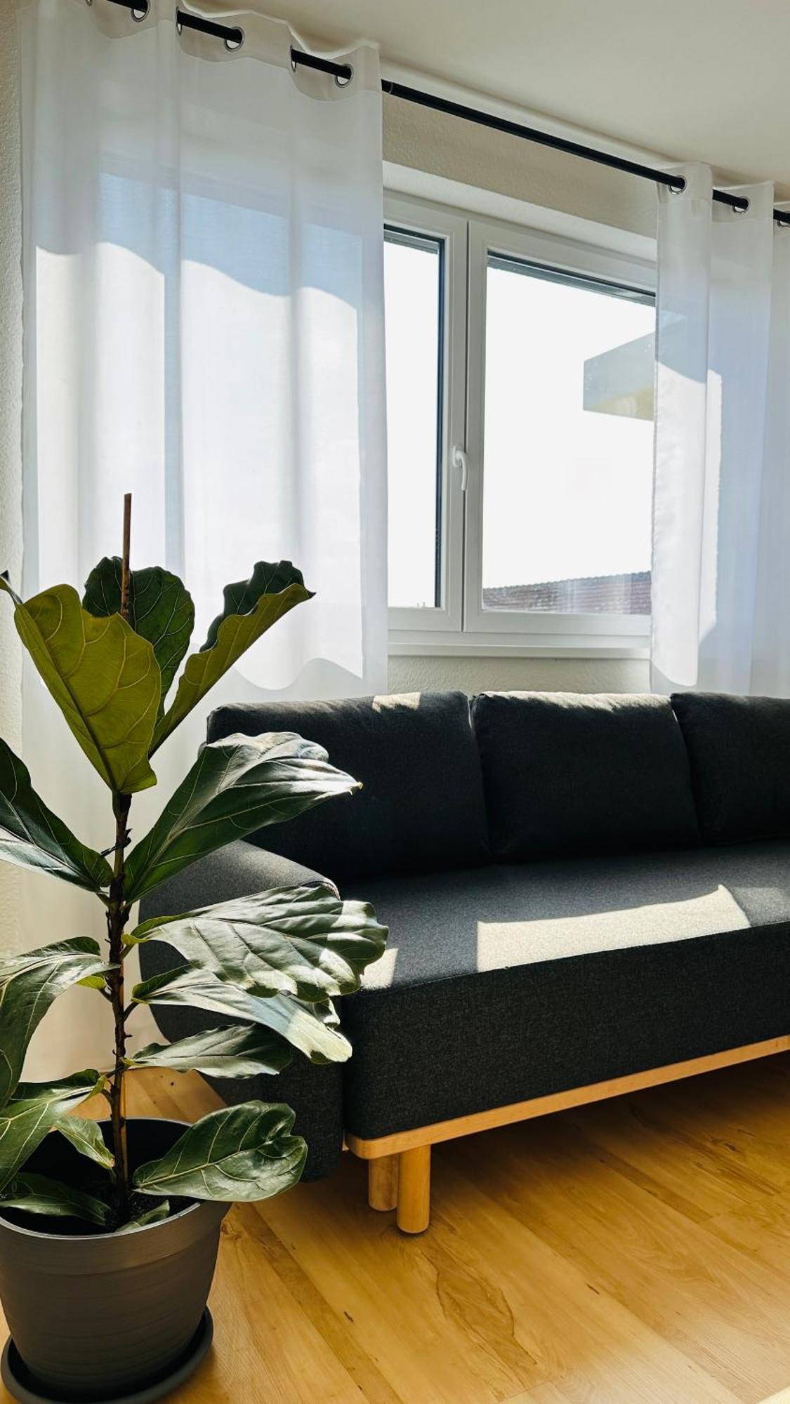 Amao-sepia I 86qm I King-size Beds I Netflix I Privat Balcony I Free Parking I Near Europapark Apartment Rheinhausen
